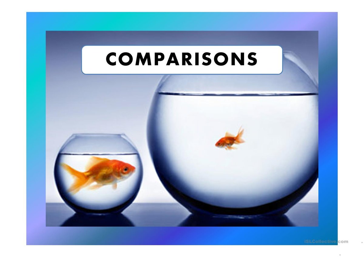 Value Comparison Shapes Smart Choices and Business Success